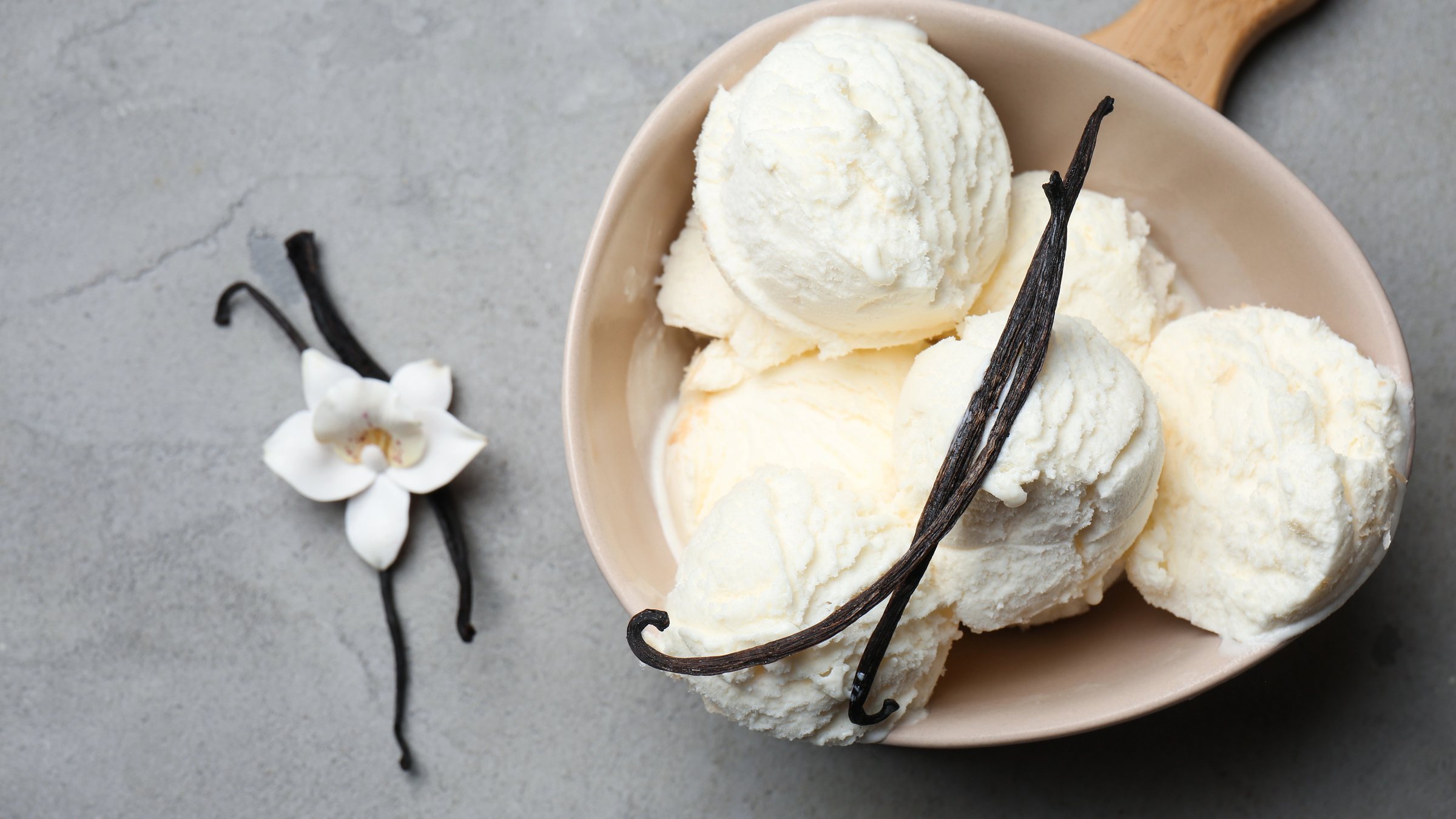 Vanilla ice cream with a vanilla bean and orchid